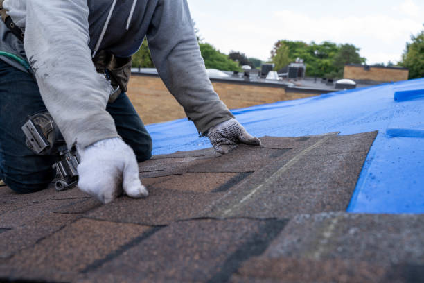 Best Gutter Installation and Repair  in Shepherdsville, KY
